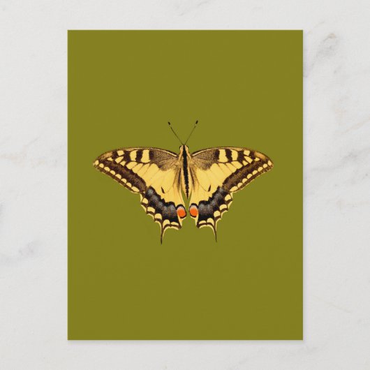 Dansende Butterfly Briefkaart (Voorkant)