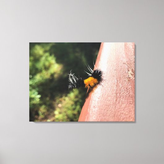 Dansende Caterpijler Canvas Afdruk (Voorkant)