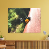 Dansende Caterpijler Canvas Afdruk (Insitu (Woonkamer))