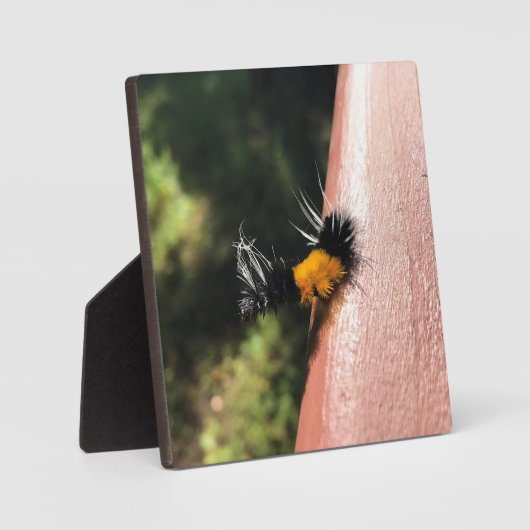 Dansende Caterpijler Fotoplaat (Voorkant)