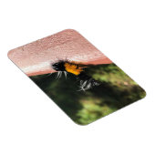 Dansende Caterpijler Magneet (Rechterzijde)