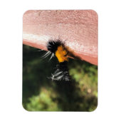 Dansende Caterpijler Magneet (Verticaal)