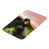 Dansende Caterpijler Magneet (Linkerzijde)