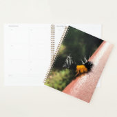 Dansende Caterpijler Planner (Display)