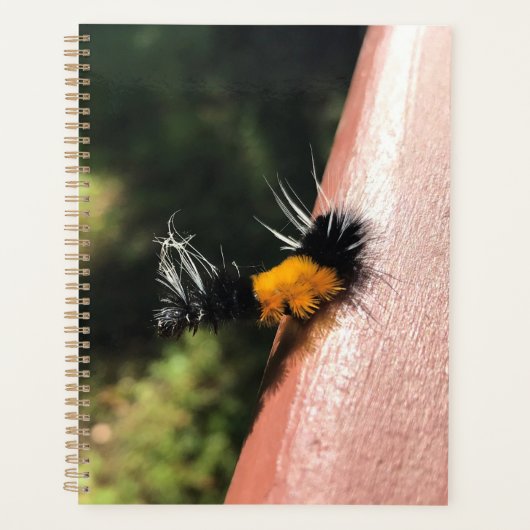 Dansende Caterpijler Planner (Voorkant)