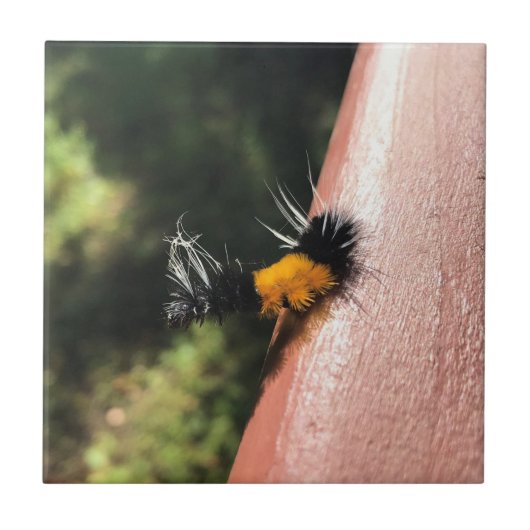 Dansende Caterpijler Tegeltje (Voorkant)