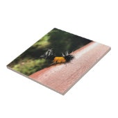 Dansende Caterpijler Tegeltje (Zijkant)