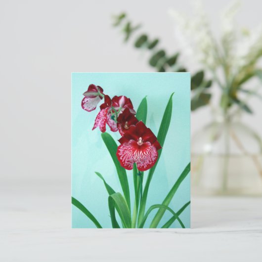 Dansende Dames Orchids Briefkaart (Staand voorkant)