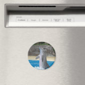 Dansende dolfijnmagneet magneet (Insitu (Vaatwasser))