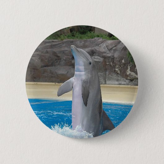 Dansende Dolphin Button (Voorkant)