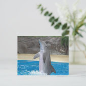 Dansende Dolphin Post Card Briefkaart (Staand voorkant)