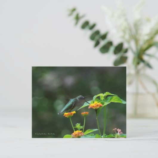 Dansende Hummingbird Briefkaart (Staand voorkant)
