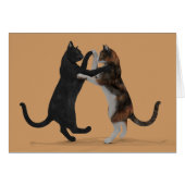 Dansende katten (Voorkant Horizontaal)