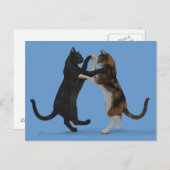 Dansende katten briefkaart (Voorkant / Achterkant)