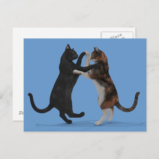 Dansende katten briefkaart (Voorkant / Achterkant)