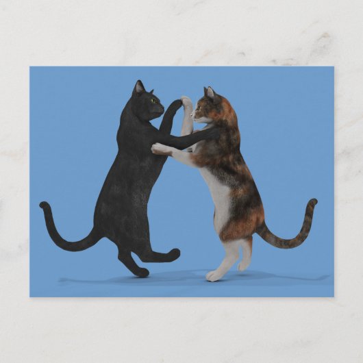Dansende katten briefkaart (Voorkant)
