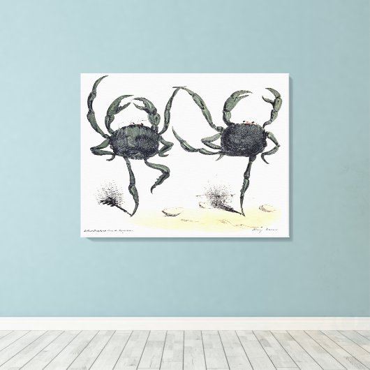 Dansende krabben op doek canvas afdruk (Insitu (Houten vloer))