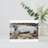 Dansende KustRots Briefkaart (Staand voorkant)