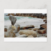 Dansende KustRots Briefkaart (Voorkant)