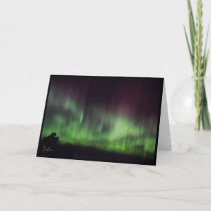 Dansende lichten over rustige bomen Blank Kaart