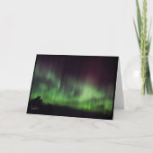 Dansende lichten over rustige bomen Blank Kaart (Voorkant)