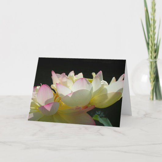 Dansende Lotus Card Kaart (Voorkant)