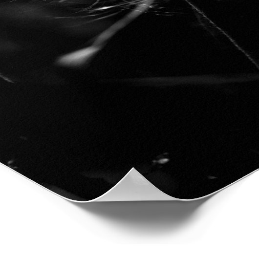 Dansende mokwee poster (Hoek)