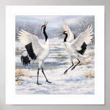 Dansende roodkroonkraanvogels in de winter – 