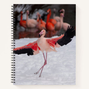 Dansende roze Flamingo doen de Flamenco foto Notitieboek