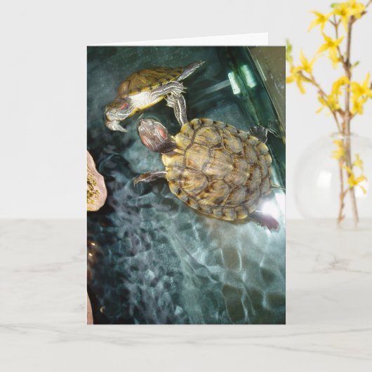 "Dansende schildpadden" - Hartelijk dank - Kaart (Gele Bloem)