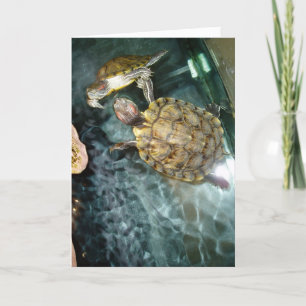 “Dansende schildpadden” verjaardagskaart Kaart