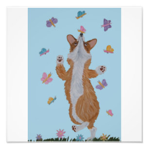 Dansende Welsh Corgi met vlinders Foto Afdruk