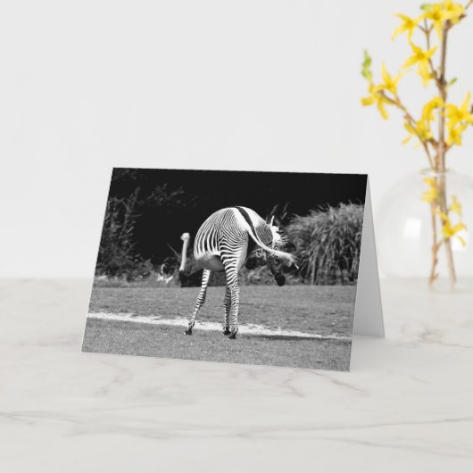 Dansende Zebra Verjaardag Kaart (Gele Bloem)