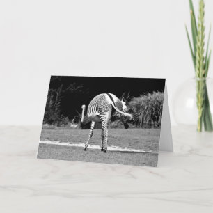 Dansende Zebra Verjaardag Kaart