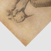  danser tissuepapier (Detail)