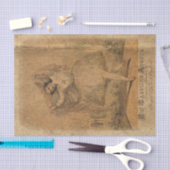 danser tissuepapier (Craft)