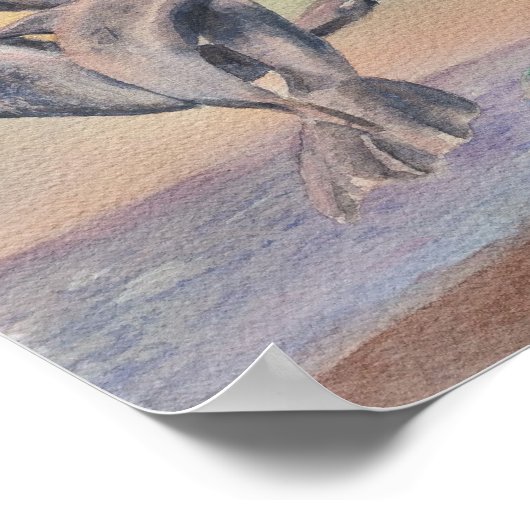 Danserende dolfijnen poster (Hoek)