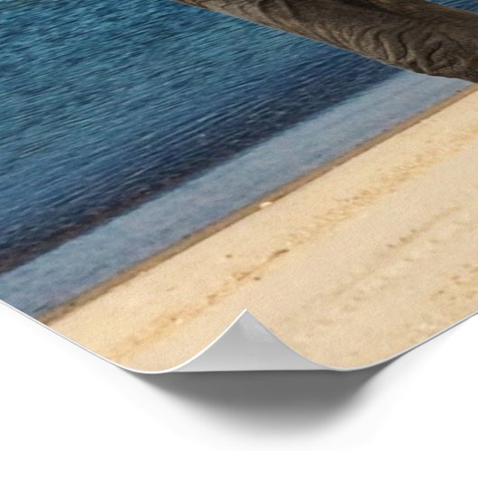  danseres 21ste verjaardag Gewijzigde kunst Poster (Hoek)