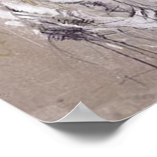 danseres poster (Hoek)