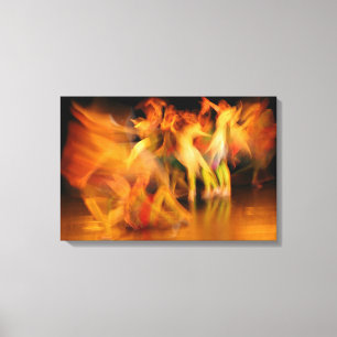 DANSEUS CANVAS AFDRUK