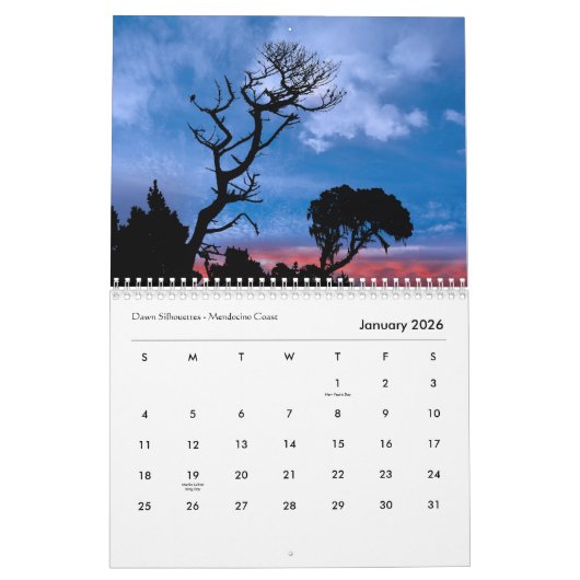 Dansflessen Kalender (Jan 2026)