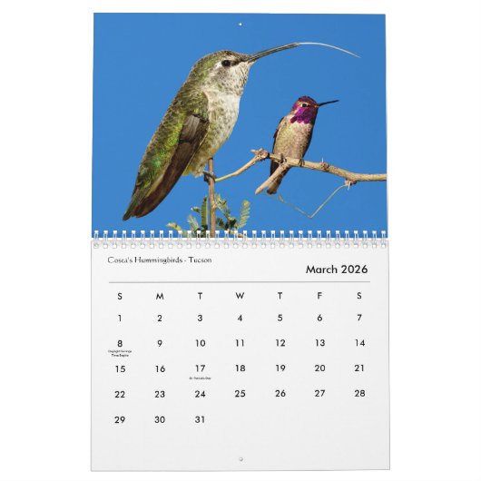 Dansflessen Kalender (Mar 2026)