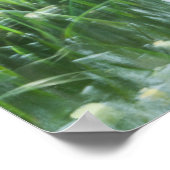 dansgras poster (Hoek)