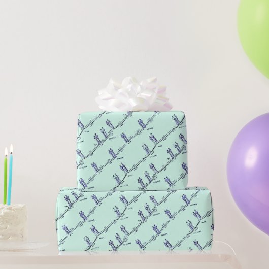 Danslessen Inpakpapier (Groen) (Feestgeschenken)