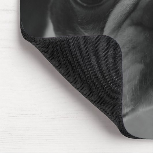 Danson Boston Terriers Muismat (Hoek)