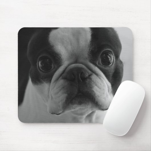 Danson Boston Terriers Muismat (Met muis)