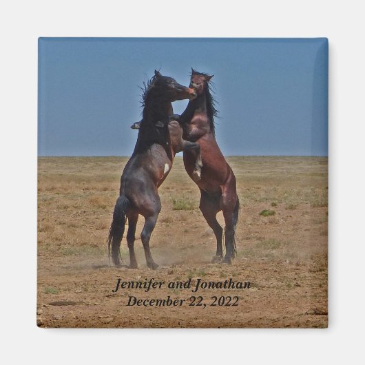 Danspaarden Jubileum Party Favor Magneet (Voorkant)