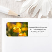 Danspoppies Etiket (Insitu)