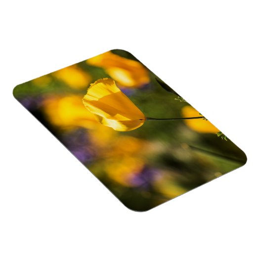 Danspoppies Magneet (Rechterzijde)