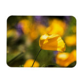 Danspoppies Magneet (Horizontaal)